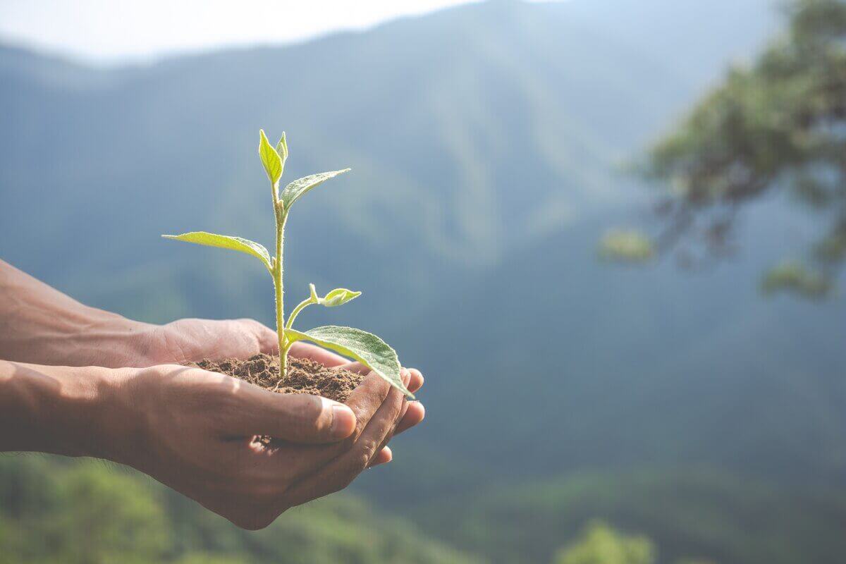 Environmental sustainability and green business solutions