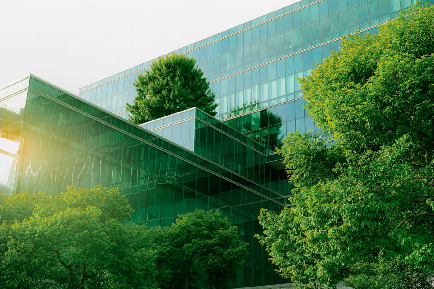 environment sustainability and green business consulting solutions